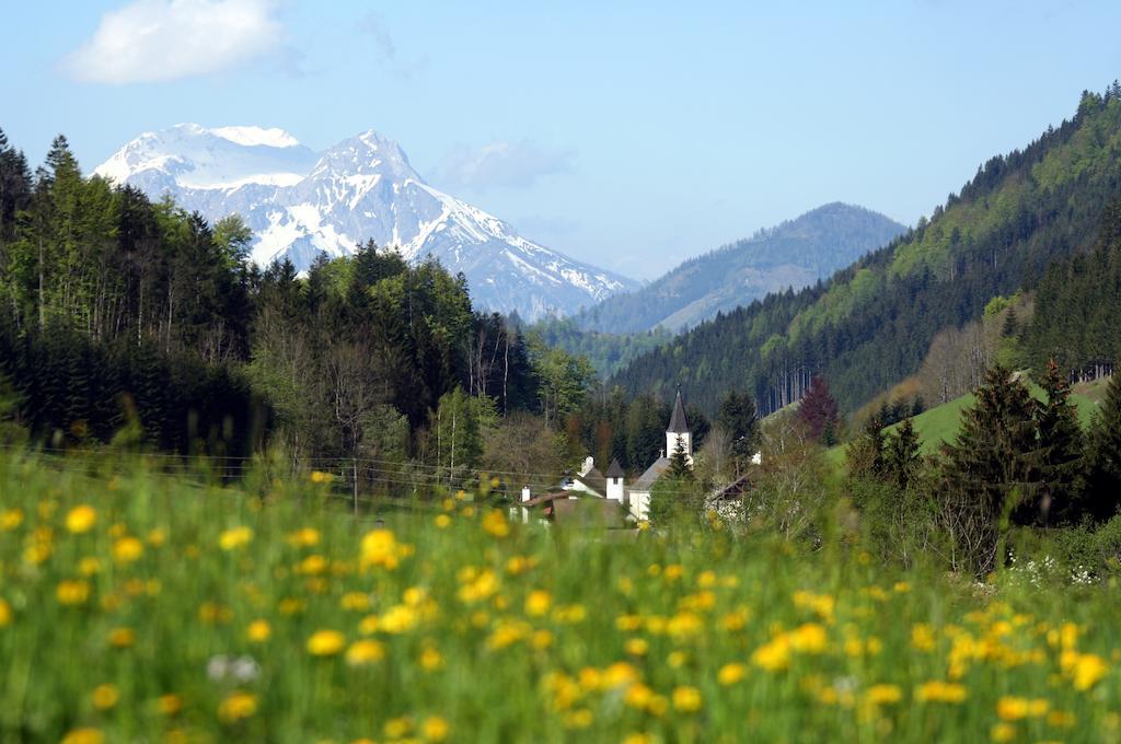 Alpenhotel Ensmann Lassing  Kültér fotó